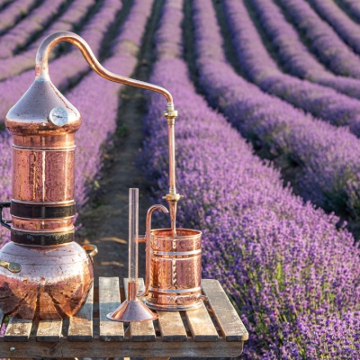 Nồi chưng cất tinh dầu: Nguyên lý, phương pháp và cách chọn phù hợp
