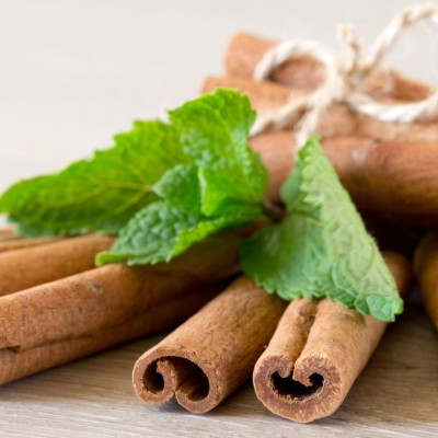 Tinh dầu quế: Bí quyết từ cây quế thơm và những công dụng tuyệt vời