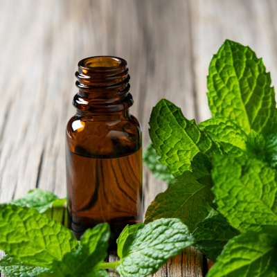 Ứng dụng tinh dầu bạc hà trong xông hơi, massage và khuếch tán