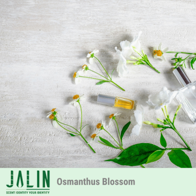 Osmanthus Blossom