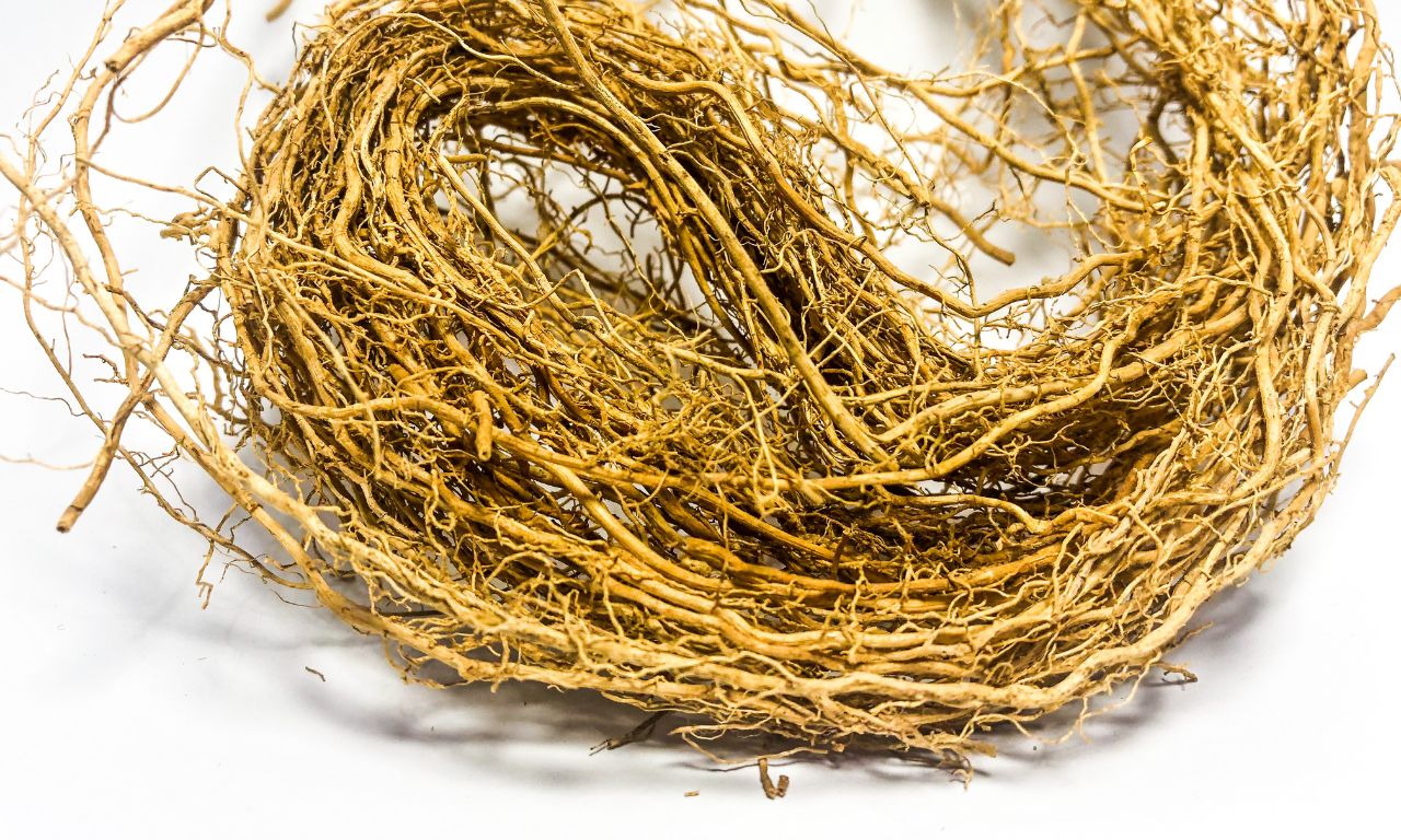 co-huong-bai-vetiver