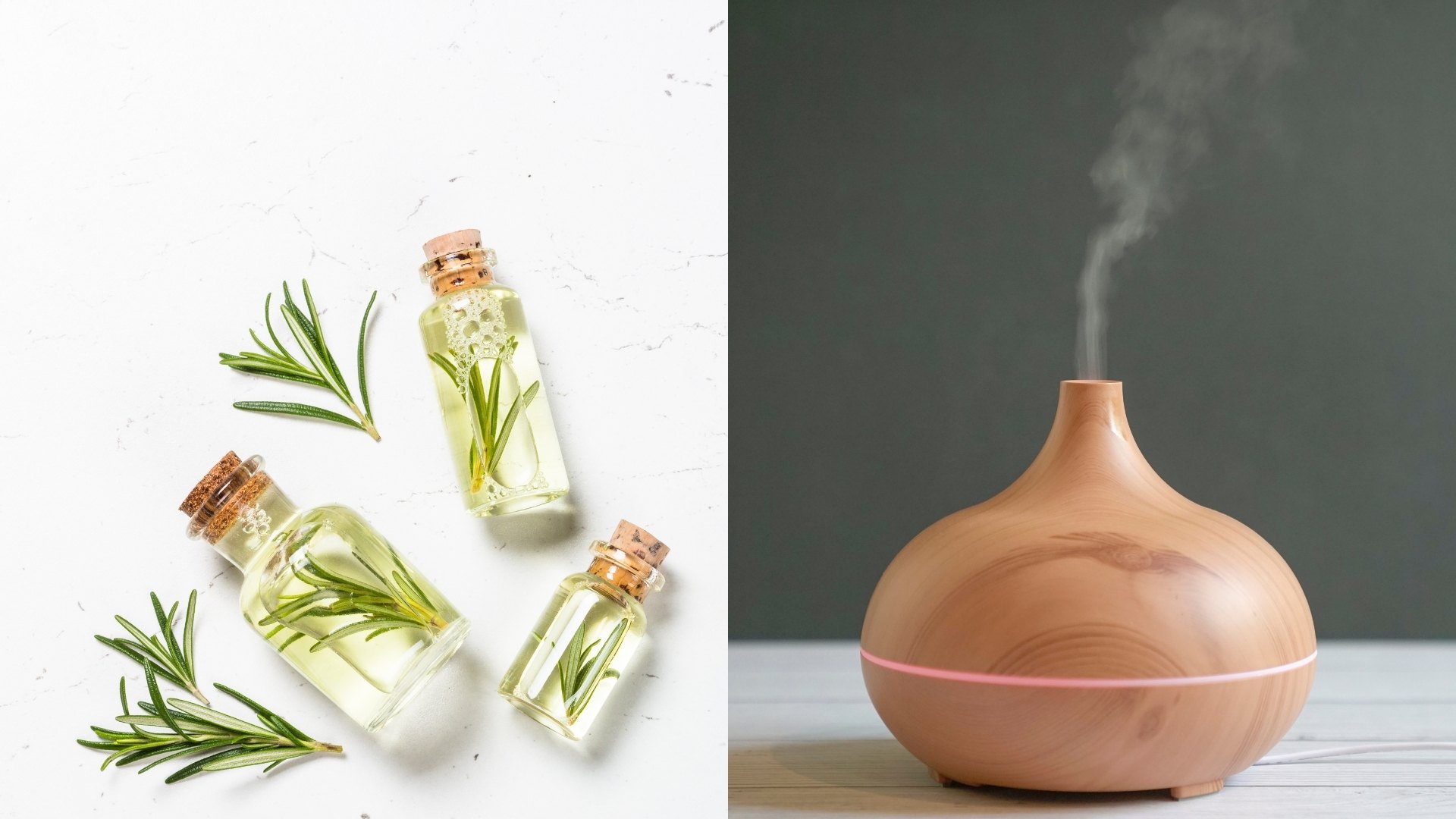 cong-dung-cay-huong-thao