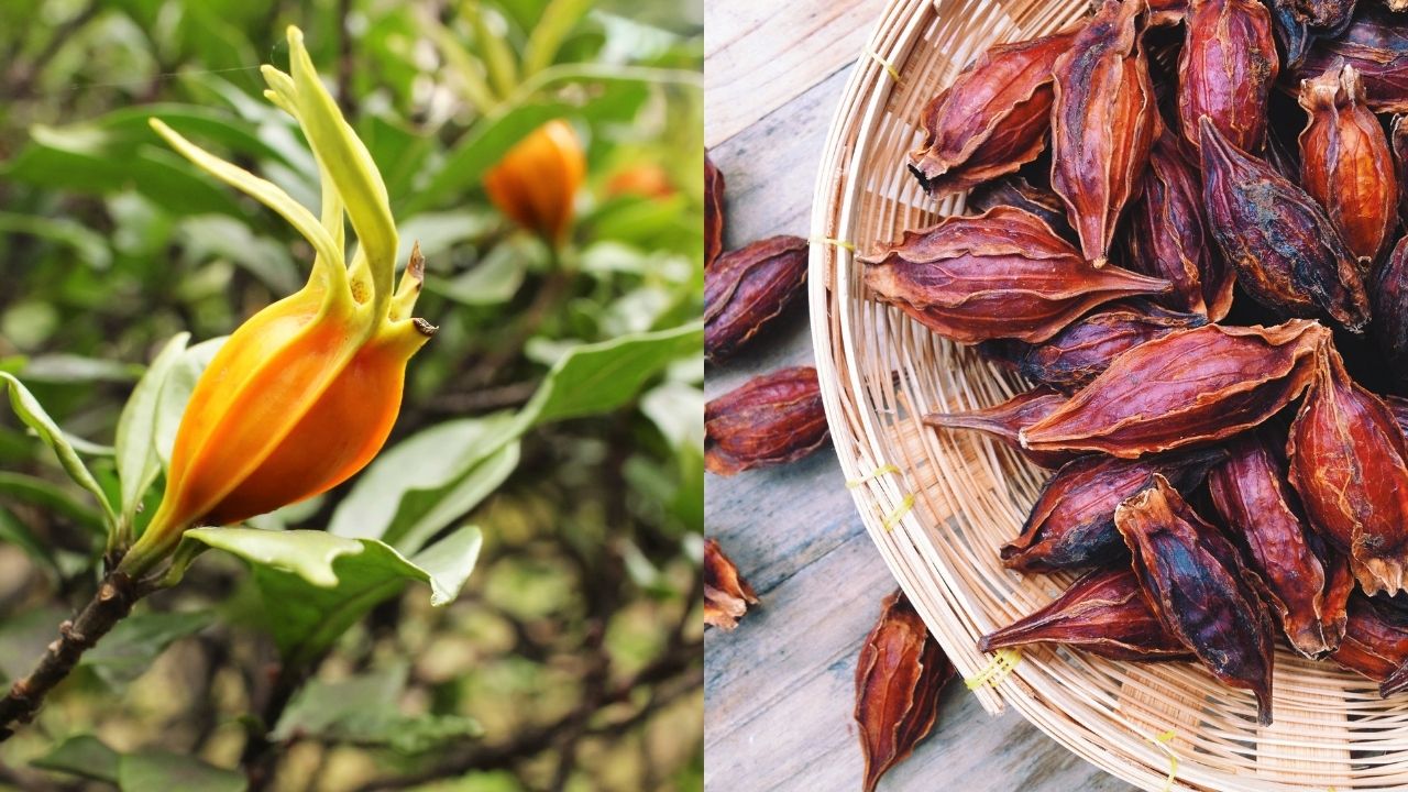 cong-dung-cua-qua-danh-danh