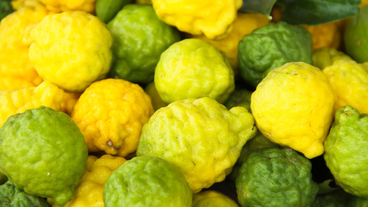 hinh-dang-va-mau-sac-cua-cam-bergamot