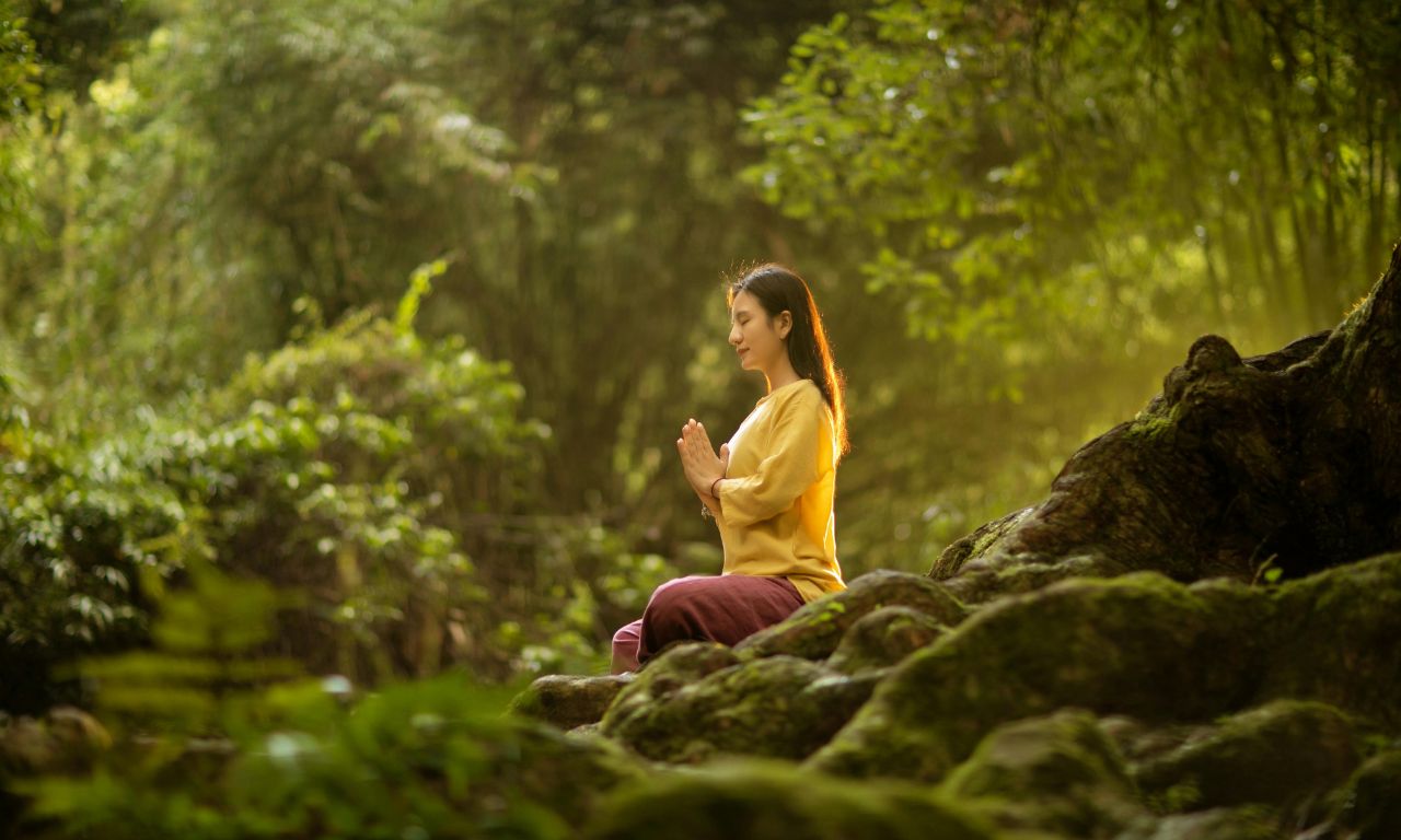 hoa-bi-ngan-trong-doi-song-tinh-than