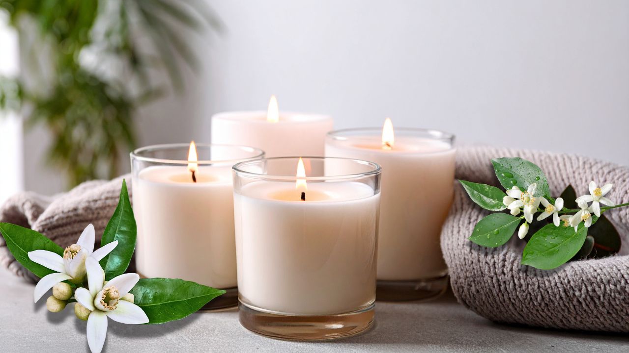 hoa-cam-trong-nen-thom