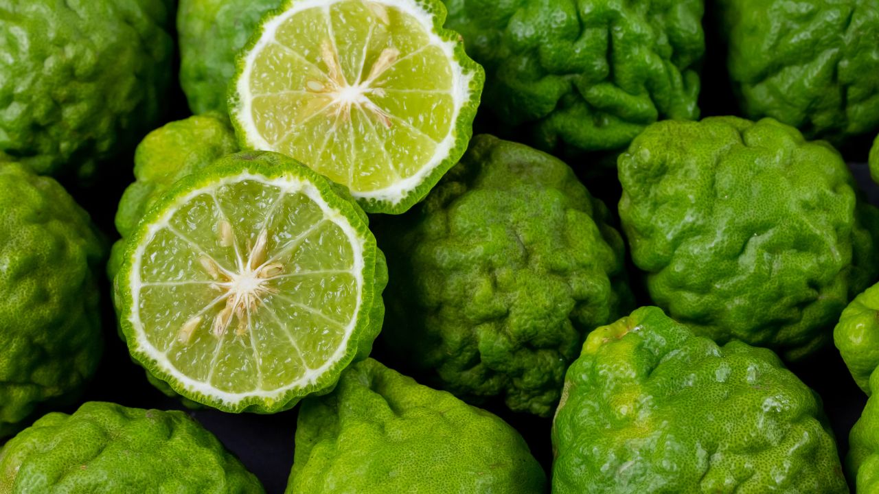 nguon-goc-cam-bergamot-la-gi