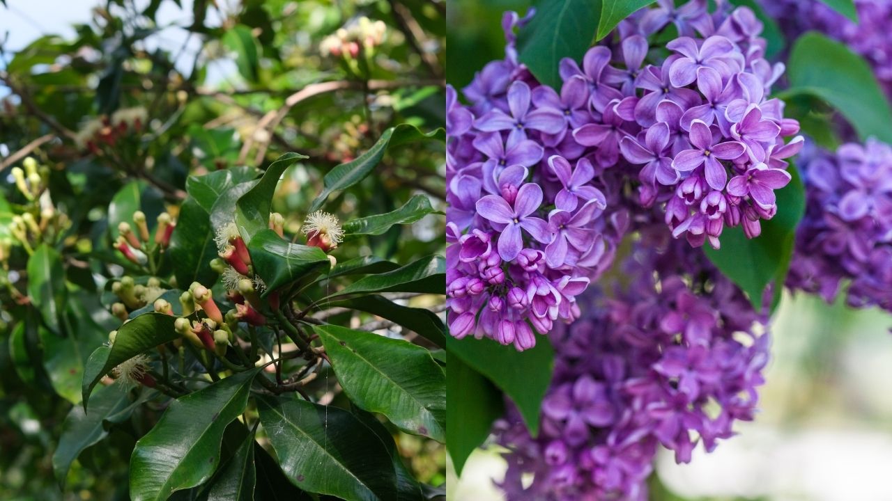 phan-biet-dinh-huong-va-tu-dinh-huong