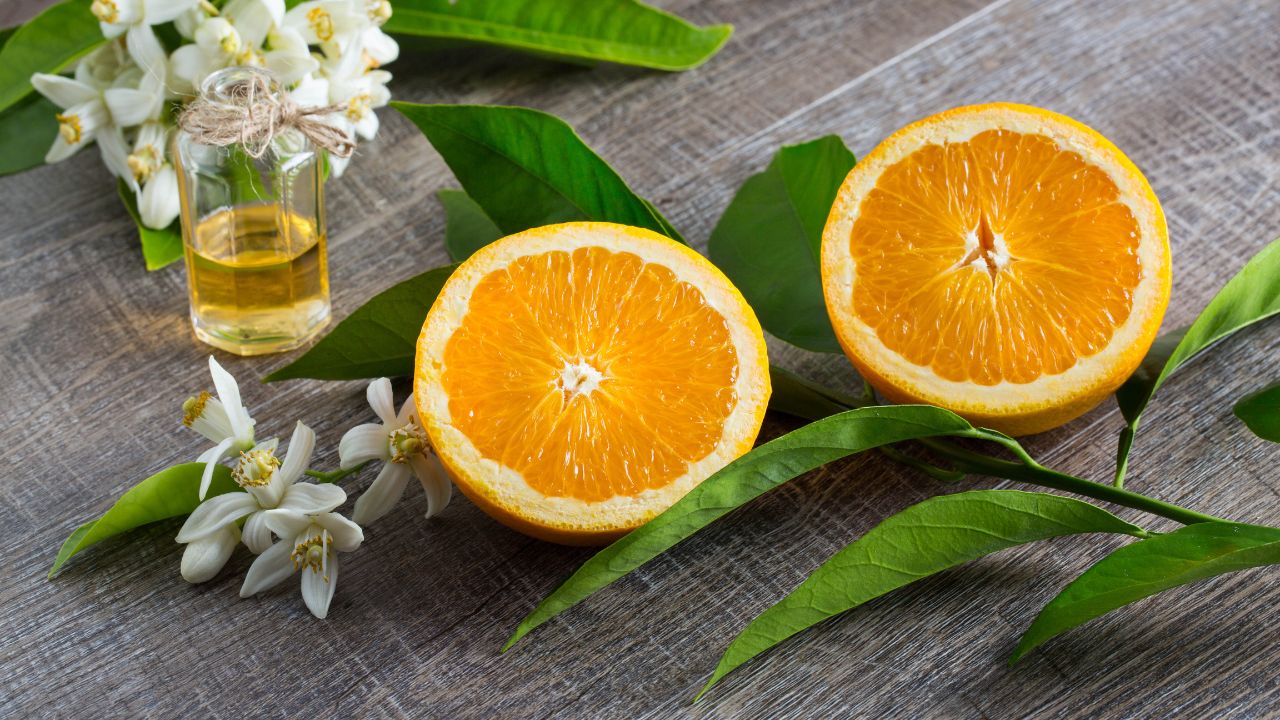 phan-biet-neroli-va-orange-blossom-trong-hoa-cam