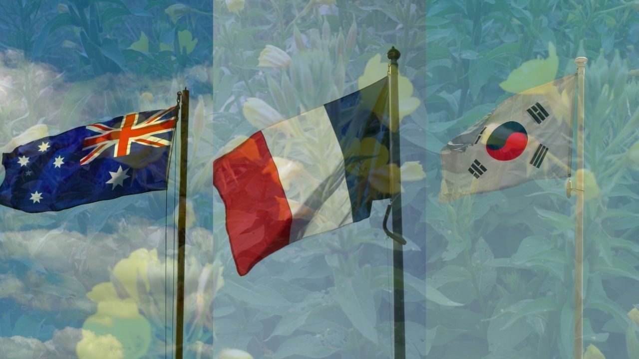 so-sanh-3-loai-tinh-dau-hoa-anh-thao