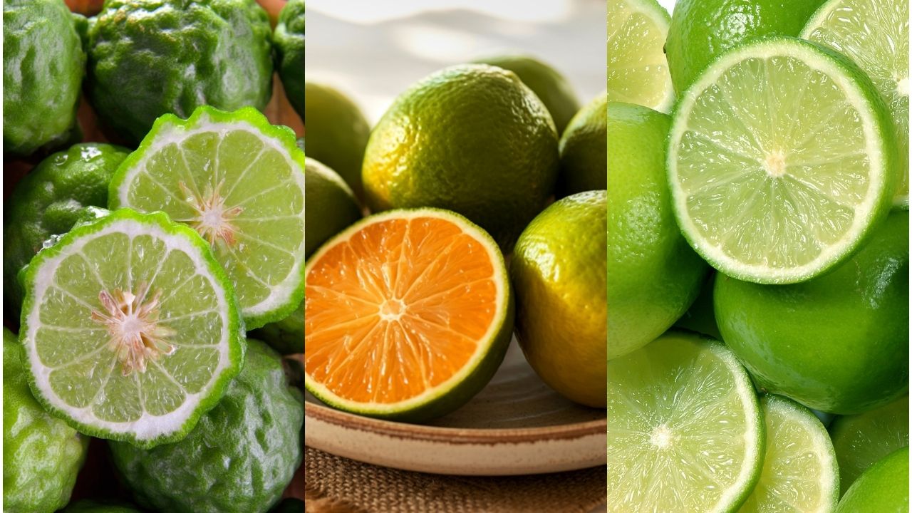 su-khac-nhau-cua-bergamot-va-cam-chanh-khac