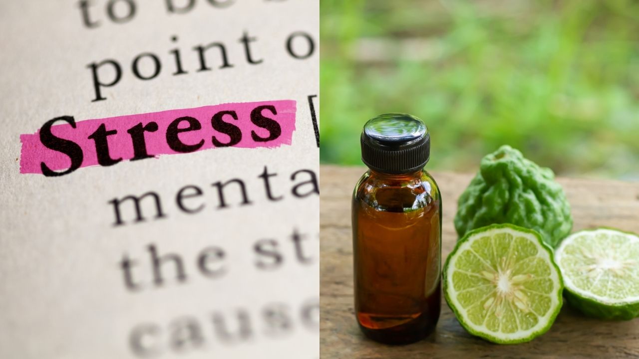 tinh-dau-bergamot-giam-cang-thang