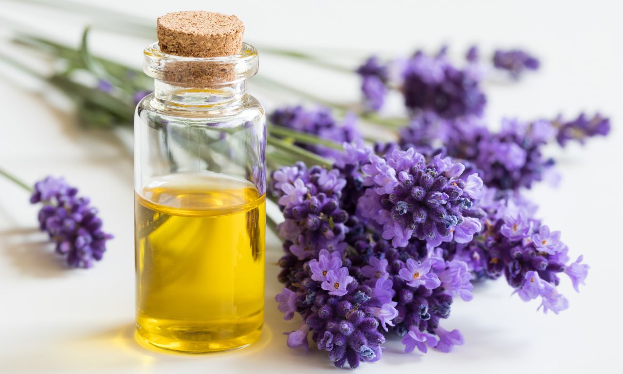 tinh-dau-hoa-lavender