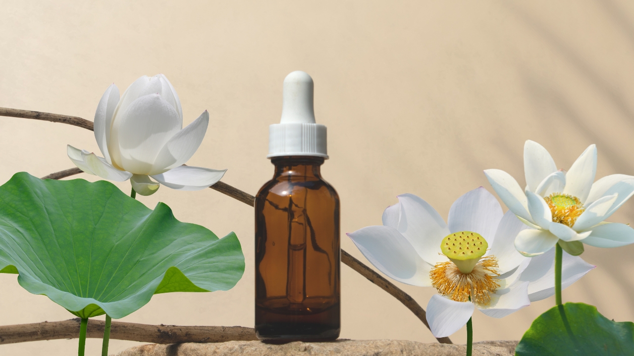 tinh-dau-hoa-sen-trang