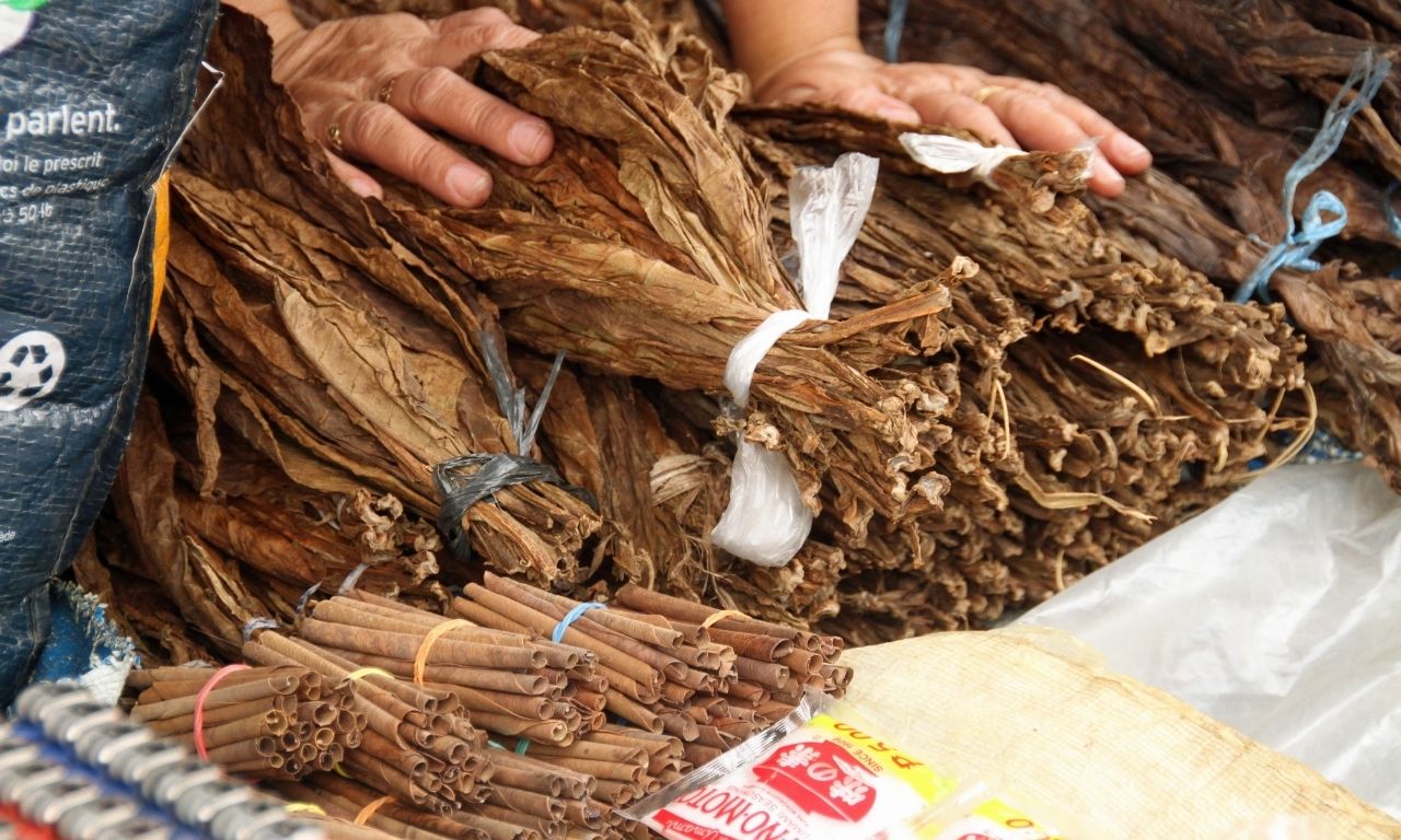 tobacco-leaf-sau-khi-xu-ly