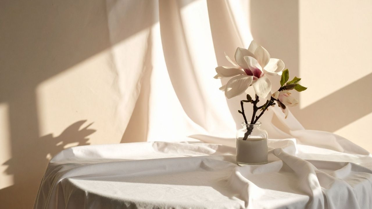 trang-tri-hoa-moc-lan-cho-khong-gian