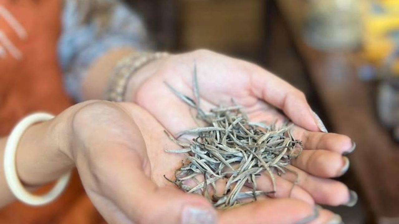 ung-dung-tinh-dau-tra-trang-trong-doi-song