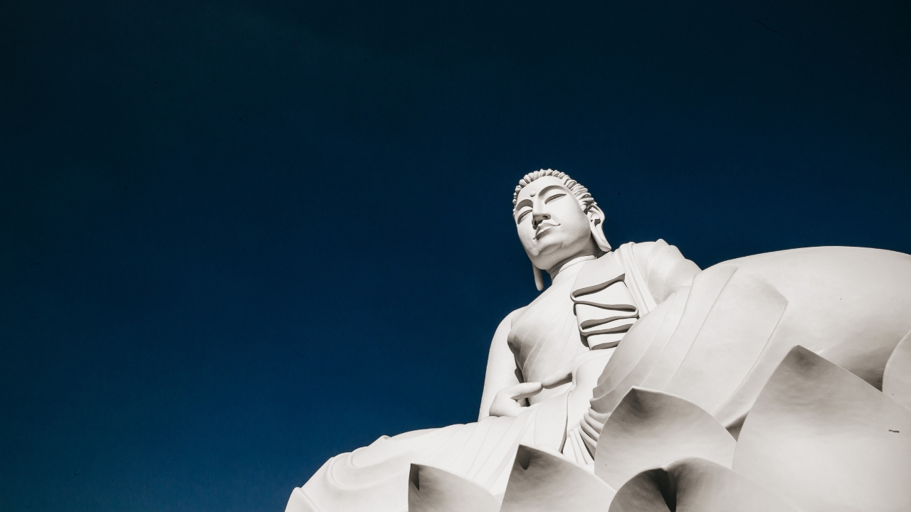 y-nghia-hoa-sen-trang-trong-tu-tuong-phat-giao